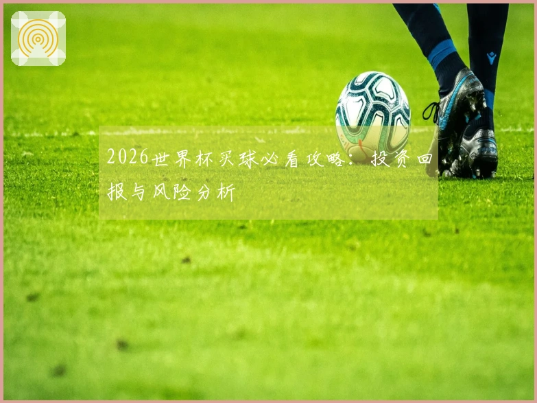 2026世界杯买球必看攻略：投资回报与风险分析