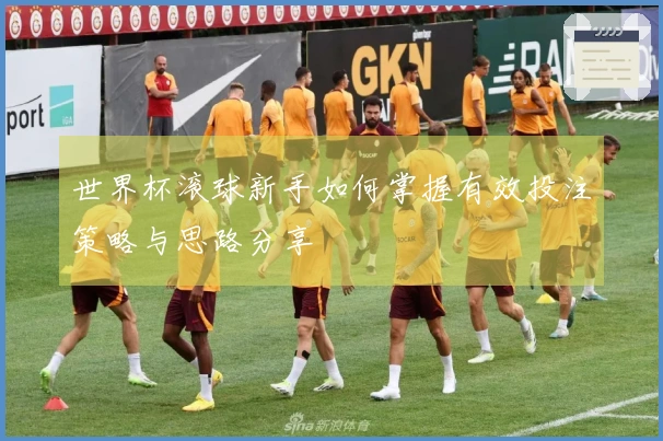 世界杯滚球新手如何掌握有效投注策略与思路分享