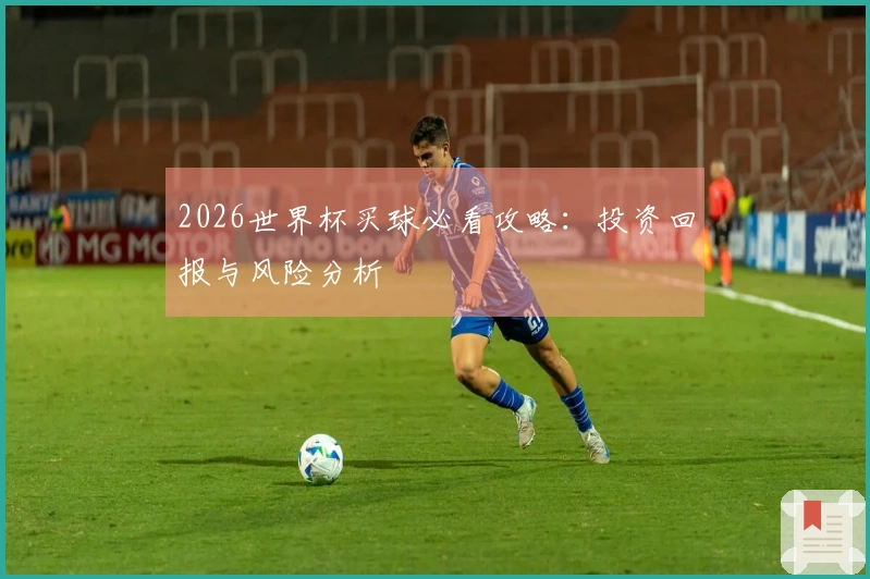 2026世界杯买球必看攻略：投资回报与风险分析