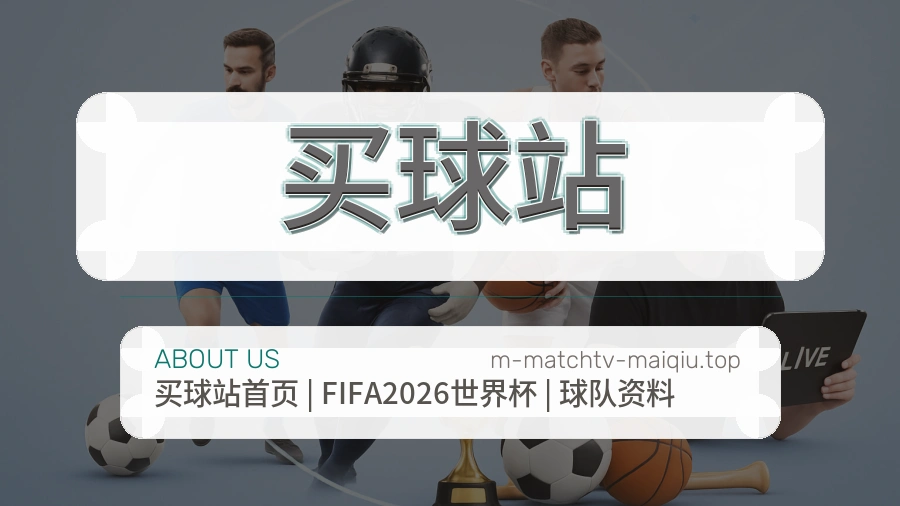 关于 买球站 团队与服务
